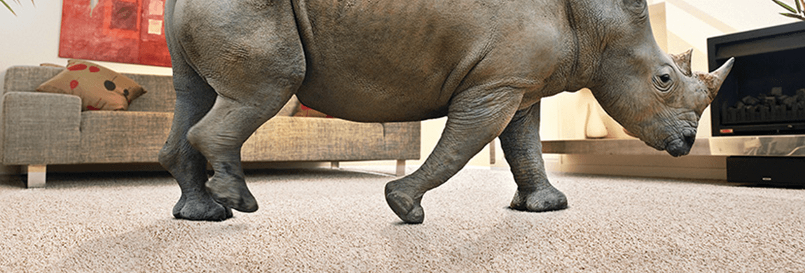 Corn Carpet and Rhino Carpet - What are They Talking About?