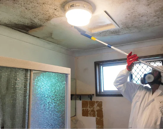 Electrodry Central Coast Mould Cleaning