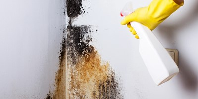 The 6 Best Tips to Prevent Mould