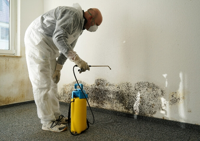 Professional Mould Cleaning Technician