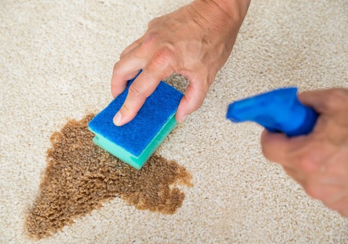 Getting Coffee Stain Out of Carpet