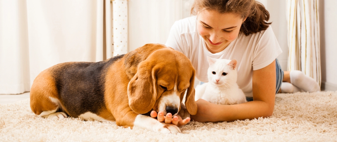 How To Protect Carpet from Pets In 5 Simple Steps