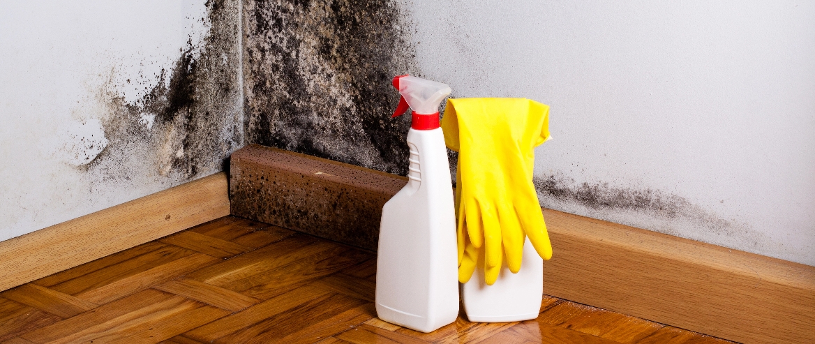 Top 5 Places Where Mould Grows at Home