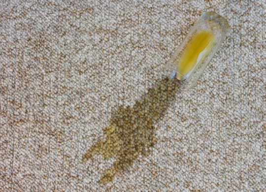 Orange Juice Spill in Carpet