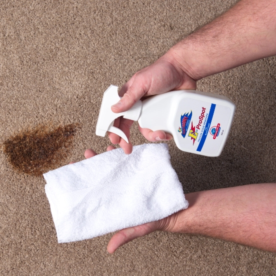 Technician Applying Stain Remover in Carpet using Clean White Rug