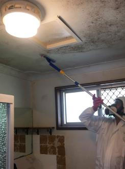 Technician in Full Protective Suit Cleaning Mould in Ceiling
