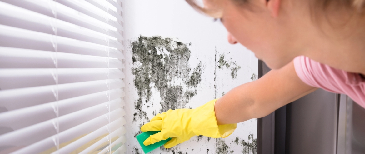 The 6 Worst Mould Hotspots in Your Home