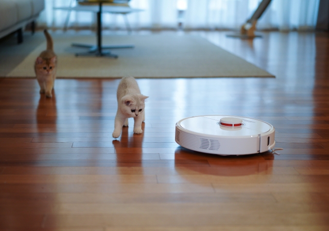 Cats with Roomba