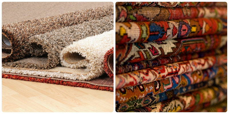 What's the Perfect Carpet for Pet Owners?
