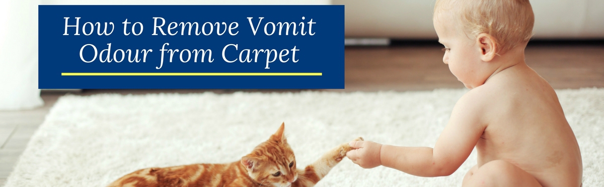How to Remove Vomit Odour from Carpet