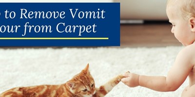 How to Remove Vomit Odour from Carpet