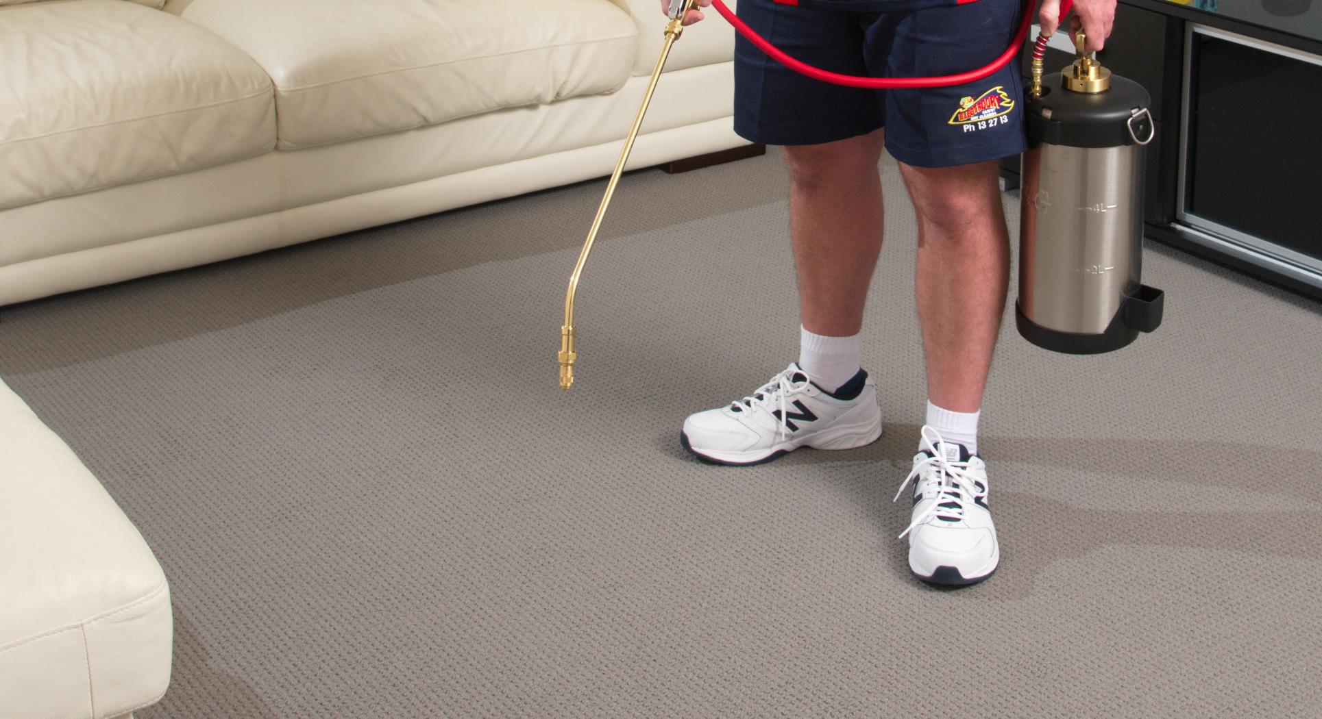 10 Carpet Cleaning Facts You Need to Know
