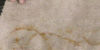 How To Remove a Rust Stain From Carpet