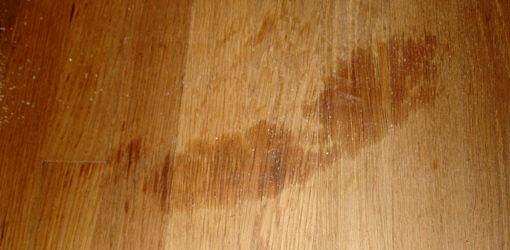 grease stain on wood floor