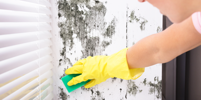 9 Great Tips to Prevent Mould
