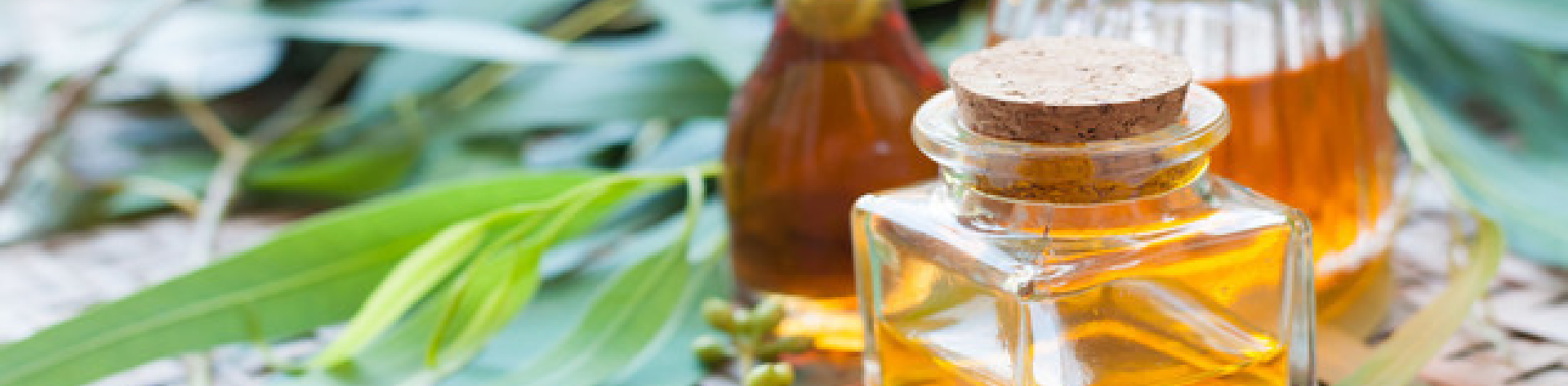 5 Tip Top Uses of Eucalyptus Oil