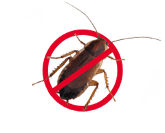 Electrodry Generatl Pest Treatment Icon