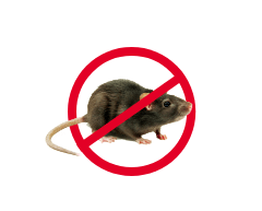 Electrodry Rodent Treatment Icon