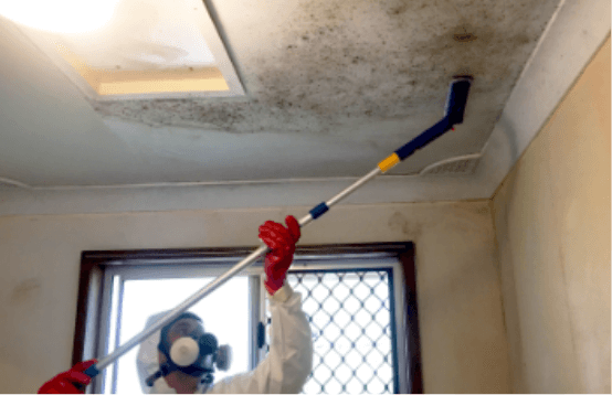 Electrodry Mould Cleaning Services