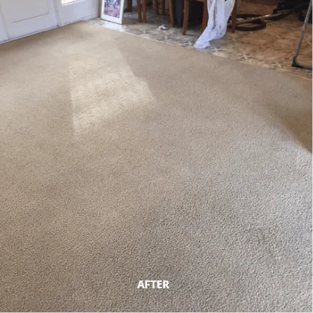 electrodry carpet cleaning after