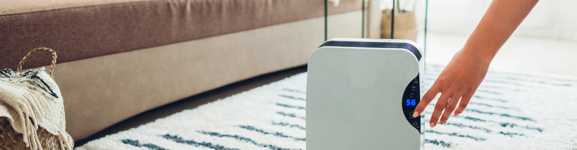 The 6 Signs You Need a Dehumidifier