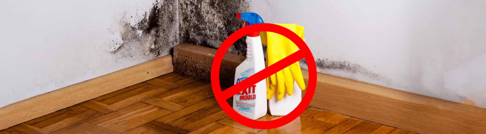 Why You Shouldn’t Use Bleach to Treat Mould This Winter