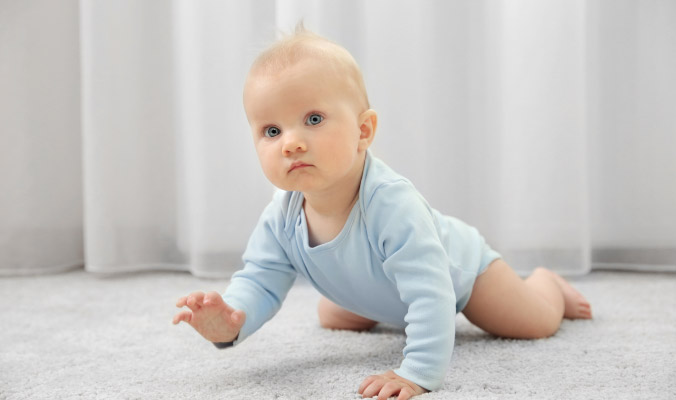 Electrodry What is Difference between Carpet Dry Cleaning and Steam Cleaning - Baby on Carpet