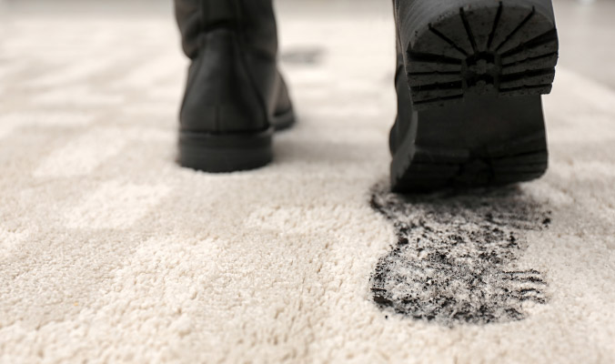 Electrodry Carpet  Cleaning Difference Heavy Tarffic Area